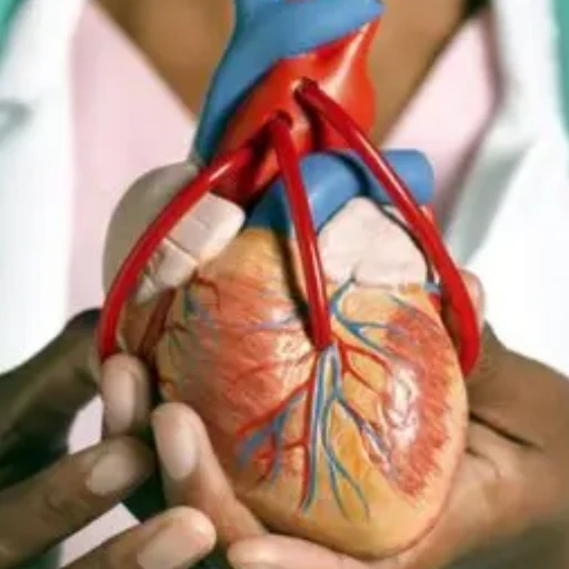 Dr. Vicente Finizola: “Las enfermedades cardiovasculares siguen siendo una amenaza para los larenses